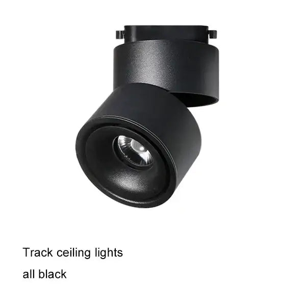 Modern black matte finish cylindrical cob led ceiling spot light with adjustable head for living room decorbites cob led