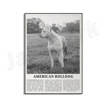 Black-and-white dog breeds poster featuring a muscular american bulldog on matte paper for living room wall art