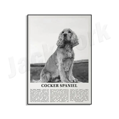 Modern black and white dog breeds poster featuring a cocker spaniel with long wavy fur for living room wall art