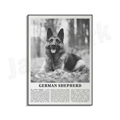 Black and white dog breeds poster featuring a german shepherd with tongue out against a forest backdrop for living room wall art