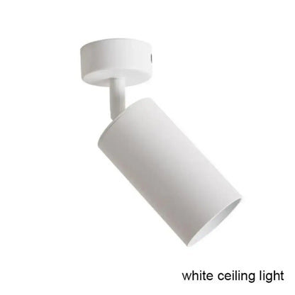 White cylindrical ceiling-mounted track lamp with sleek minimalist design for modern black white led decorbites lighting