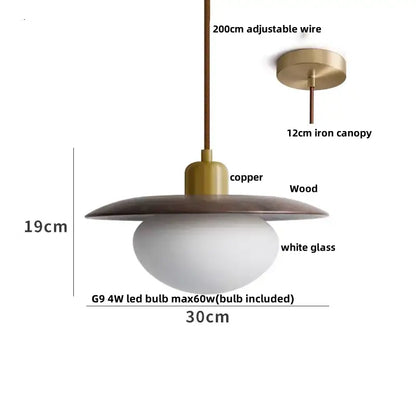 Modern brass and dark wood led wood pendant light with copper iron canopy, wooden disc shade, and frosted glass globe