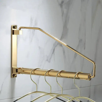 Modern brass gold wall clothing rack with multiple hanging hooks for bedroom decorbites brass gold organizer