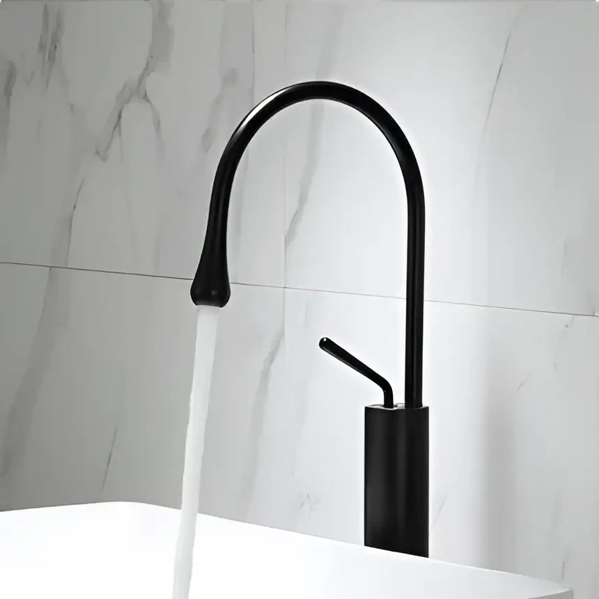 Black matte basin faucet with curved spout and single lever handle contrasting decorbites brushed gold sink crane