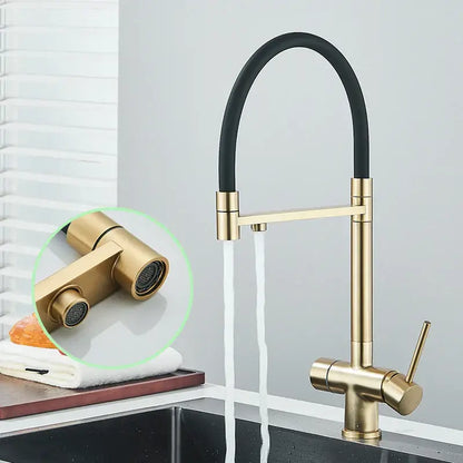 Modern brushed gold dual handle kitchen faucet with flexible black hose and dual spray nozzles decorbites brushed gold