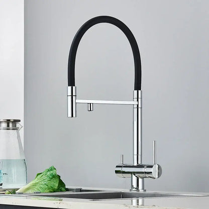 Modern chrome and black dual spout water filter faucet with flexible hose and dual handles for kitchen use