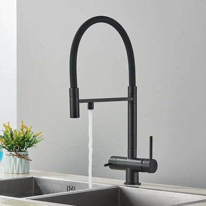 Modern chrome and black dual spout water filter faucet with black matte finish curved pull-down spout for kitchen use