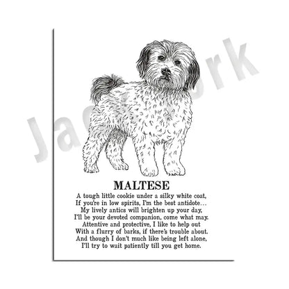 Modern framed black and white maltese dog breed poster with poem for bedroom wall decor by decorbites dog breed