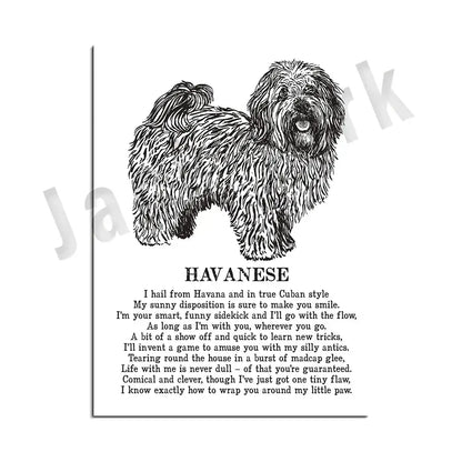 Modern framed black and white decorbites dog breed poster featuring detailed havana dog illustration and poem for bedroom decor
