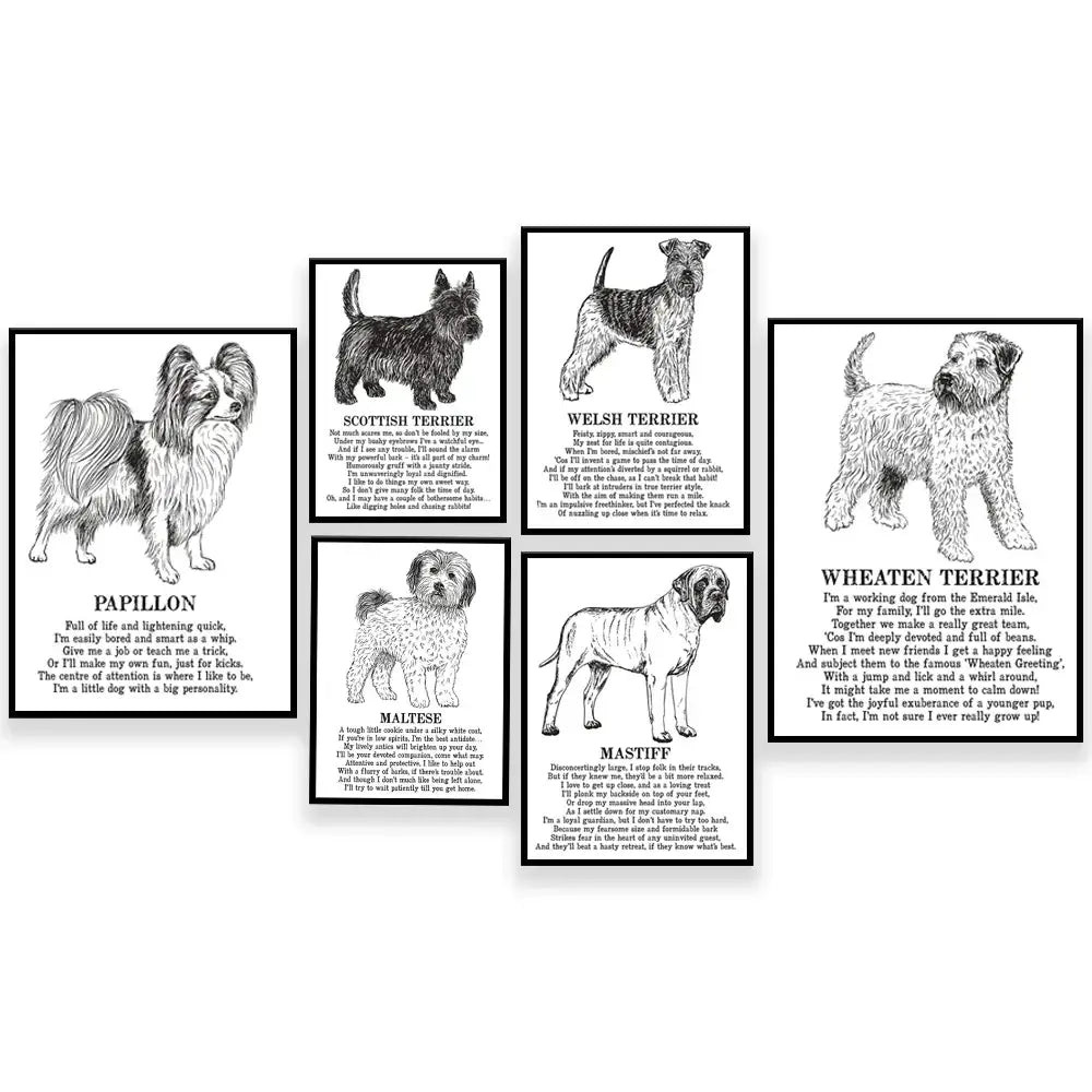 Set of six modern framed black and white dog breed posters with detailed illustrations for bedroom wall decor by decorbites dog