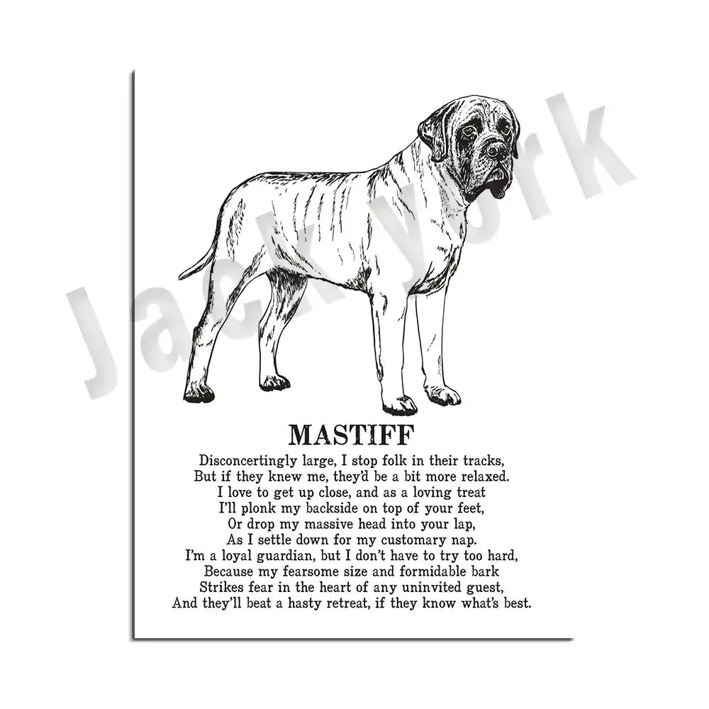 Modern framed black and white decorbites dog breed mastiff poster featuring detailed line art for bedroom wall decor