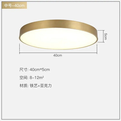 A modern gold acrylic led ceiling light with a brushed gold frame and frosted acrylic diffuser for living rooms