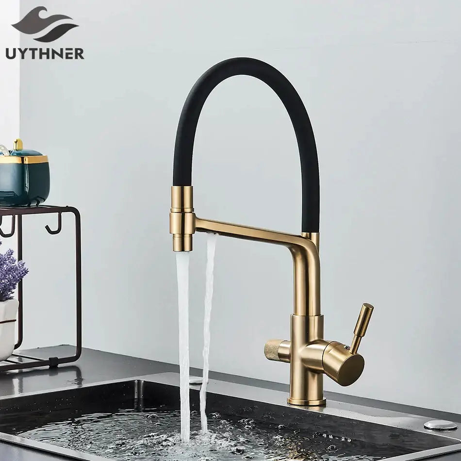 Modern gold and black dual spout kitchen faucet with flexible hose featuring decorbites dual spout design