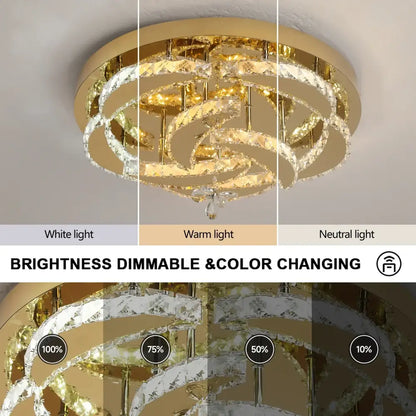 Modern gold ring crystal drop chandelier with concentric rings and color-changing led lighting for dining room decorbites crystal drop