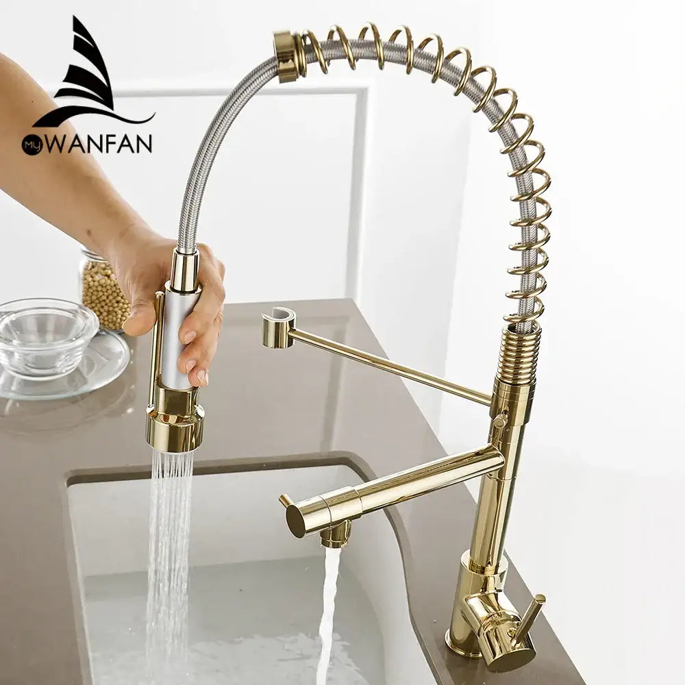 Modern gold spring spout kitchen faucet with decorbites gold spring flexible pull-out spray head and brushed metal finish