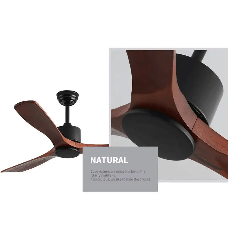 Modern matte black ceiling fan with dark brown wooden blades designed as a sleek wooden ceiling fan for living rooms