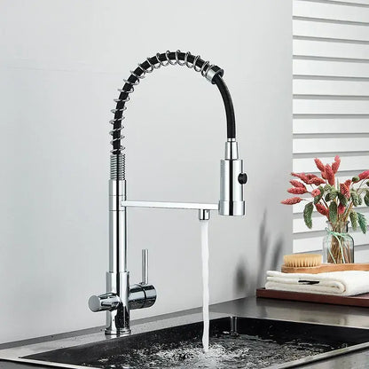 Modern matte black decorbites dual spout kitchen water filter faucet with chrome pull-down flexible hose and sleek design