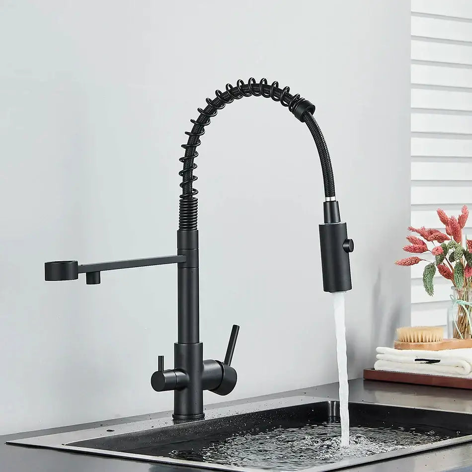 Modern matte black dual spout kitchen water filter faucet with flexible coiled hose and pull-down spray head by decorbites dual spout