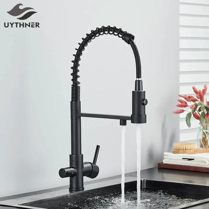 Modern matte black dual spout kitchen water filter faucet with coiled flexible hose and decorbites dual spout design