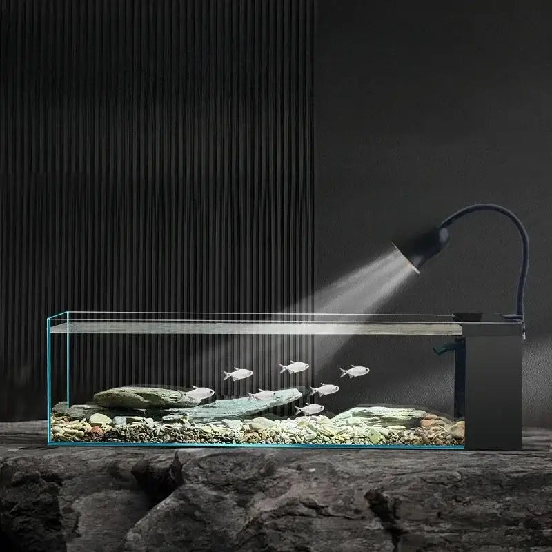 Modern rectangular glass betta fish tank with clear water rocks and silver fish illuminated by black gooseneck lamp decorbites betta fish tank