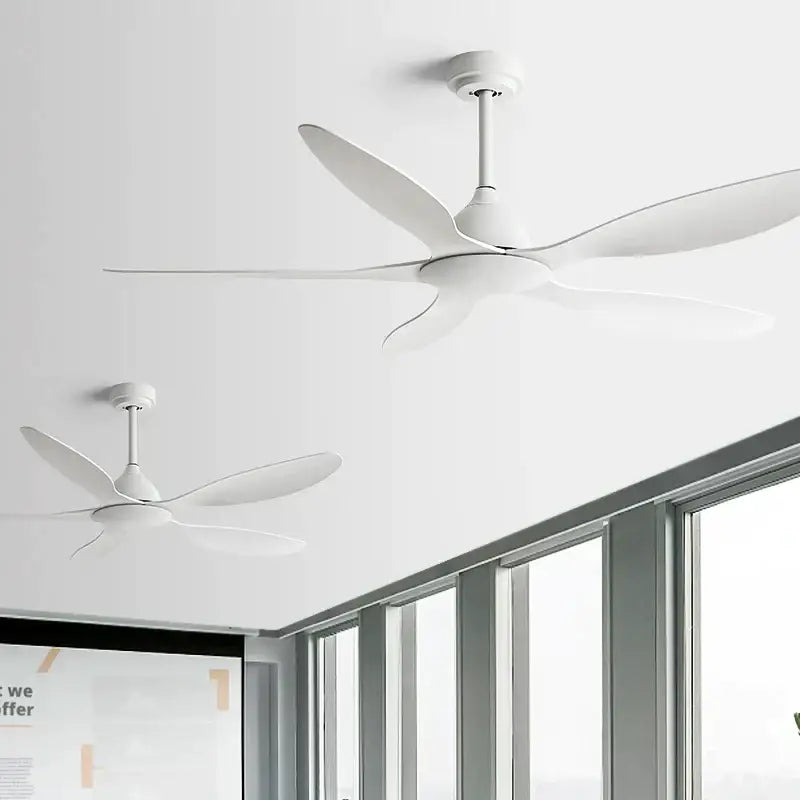 Modern white and wood 56-inch ceiling fan with sleek aerodynamic blades and minimalist design for office use