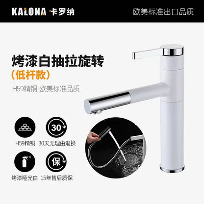 Modern white ceramic wall mounted wash basin with a white enamel pull-out faucet and chrome spout made from h59 brass