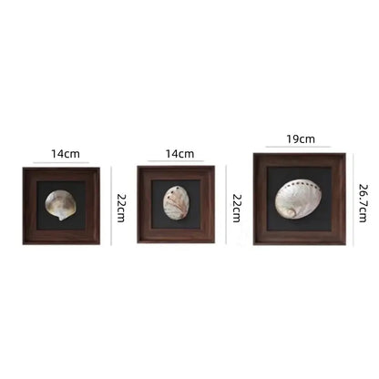 Three natural abalone shells in dark wood decorative painting frames with black backing labeled by size for living room art