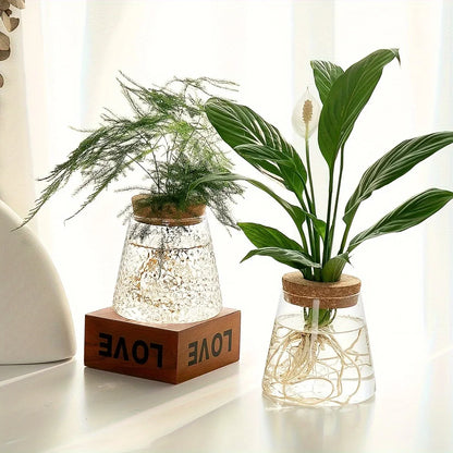 Clear textured glass hydroponic vase with cork lids and visible roots mini self-watering planter for tabletop use