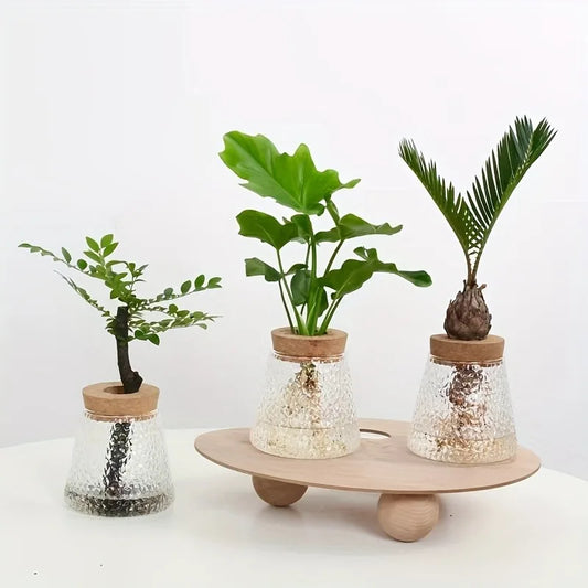 Nordic glass hydroponic vase with tray featuring clear textured glass planters with wooden lids and green plants