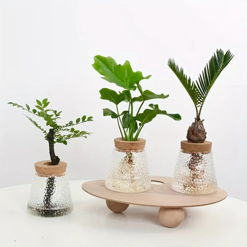 Nordic glass hydroponic vase with tray featuring clear textured glass planters with wooden lids and green plants