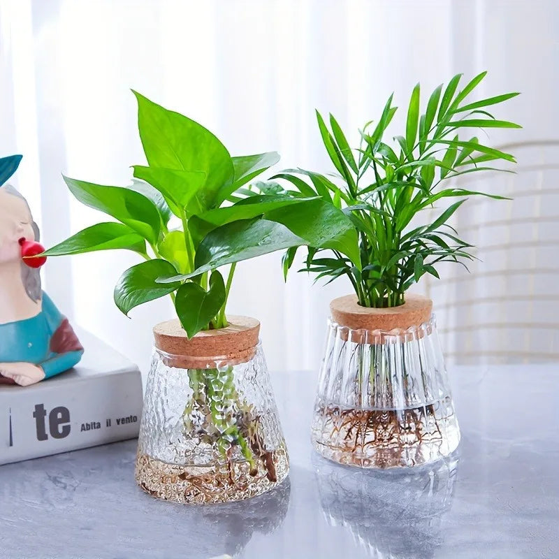 Two clear glass nordic hydroponic vases with textured surfaces and cork lids holding green leafy plants on a tray