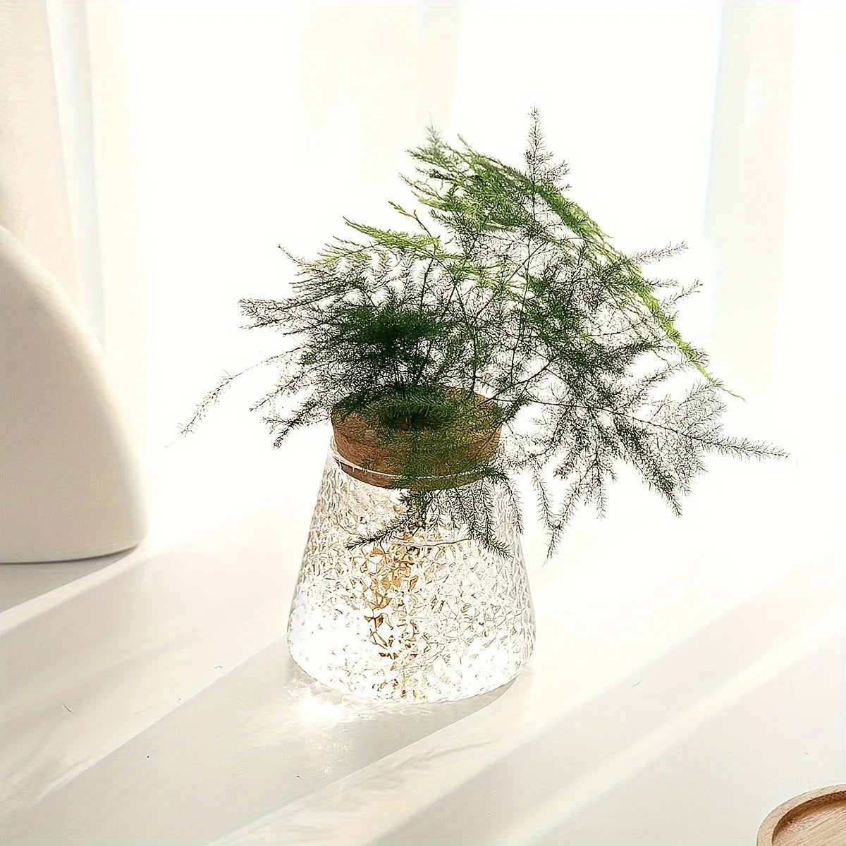 Nordic glass hydroponic vase with tray clear textured glass and cork lid holding green asparagus fern for home decor