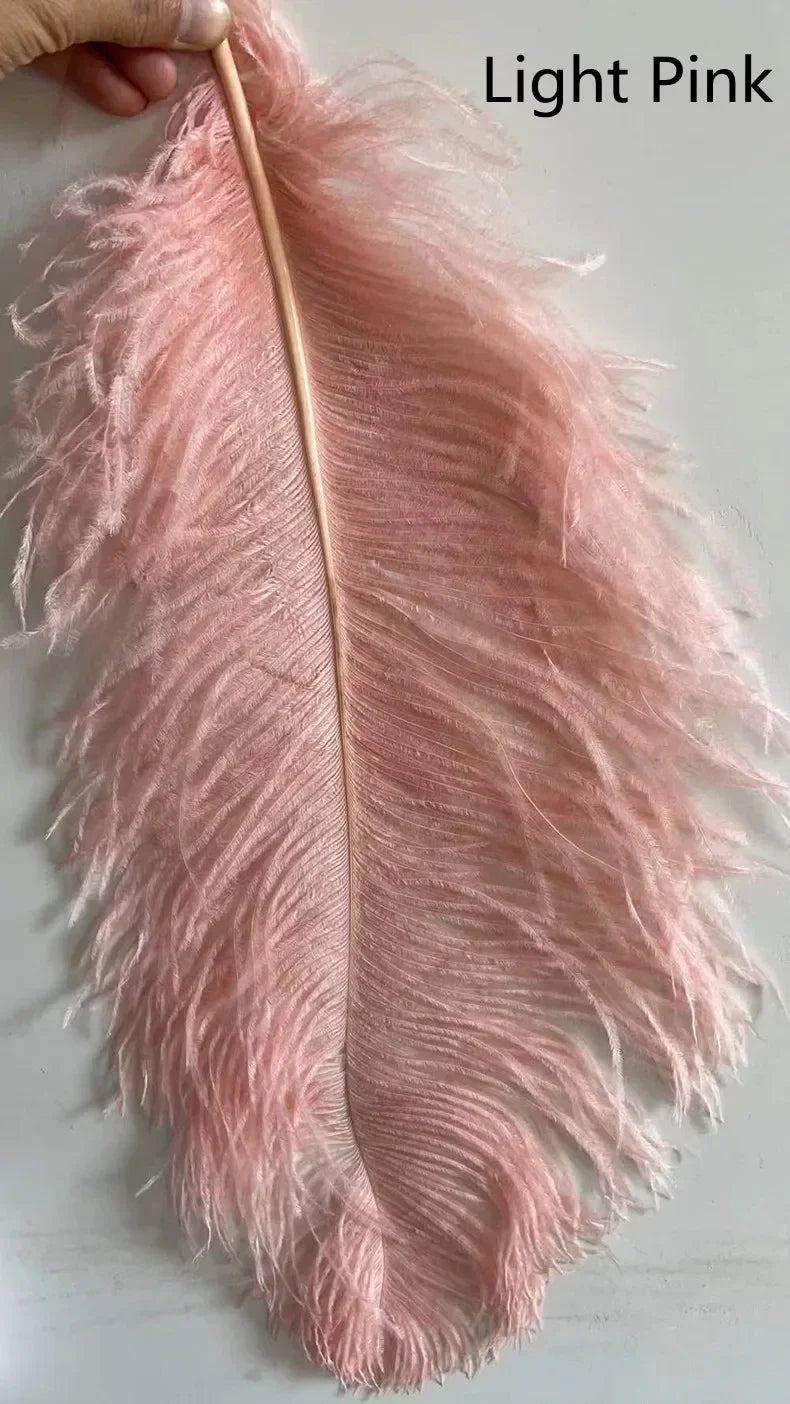 A light pink feather floor lamp with soft ostrich feather texture and natural shaft for living room decor