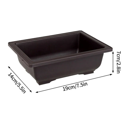 Dark brown rectangular plastic bonsai pot with rounded corners, shallow interior, ideal for succulent plants pots and garden use