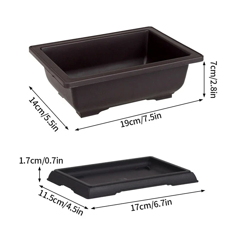 Black rectangular plastic bonsai pot with matching tray designed for succulent plants pots and outdoor garden use