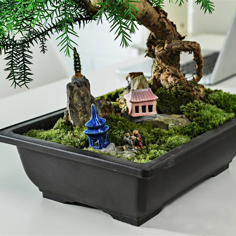 Black rectangular bonsai pot with green moss and ceramic structures for outdoor garden succulent plants pots