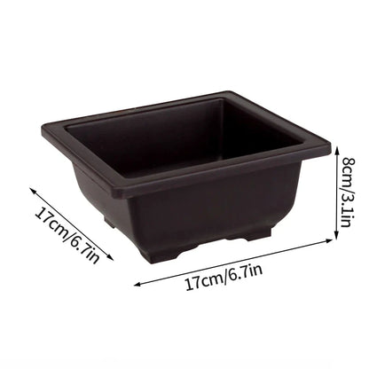 Black rectangular ceramic bonsai pot 17cm x 17cm x 8cm for outdoor garden landscape succulent plants pots