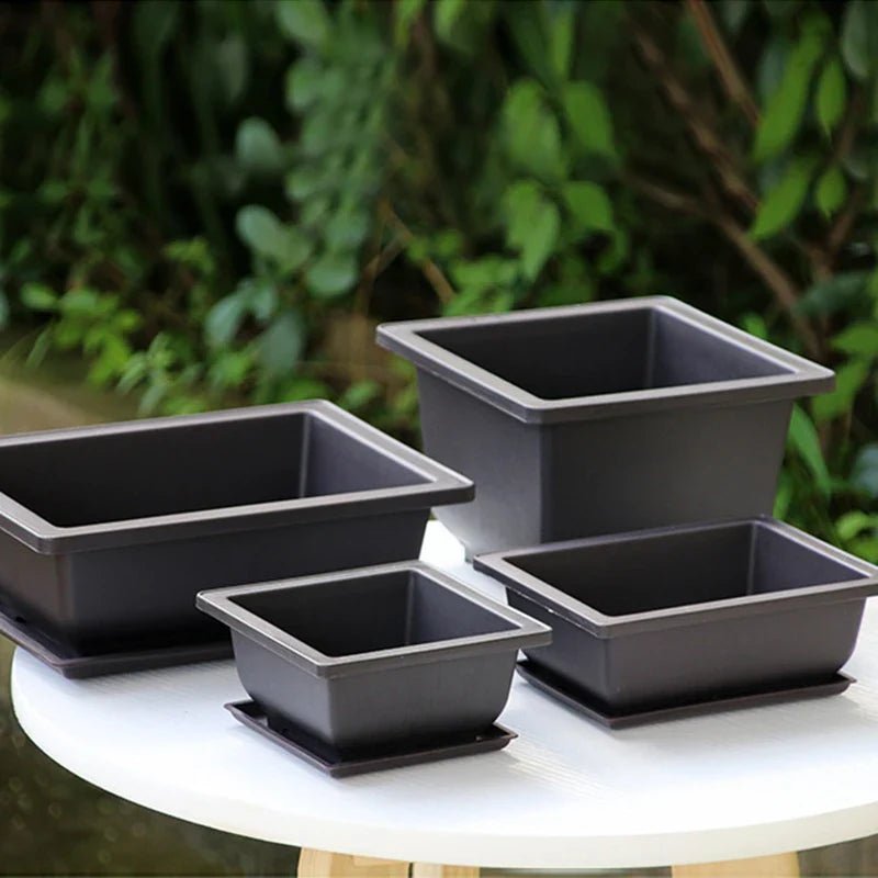 Set of four matte black rectangular bonsai pots with matching saucers made of imitation purple clay for succulent plants pots