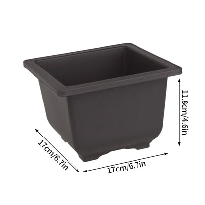 Black rectangular plastic bonsai pot with rounded corners and raised rim for outdoor succulent plants pots
