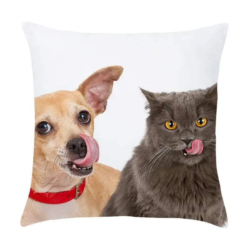 White throw pillow with tan dog and gray cat licking noses printed on peach skin pillowcase for living room decor