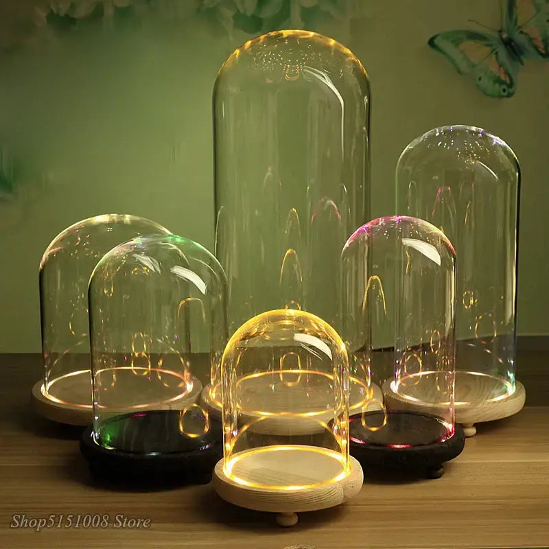 Clear glass dome night light with pink and gold dry flower ornaments wooden base and internal led lighting