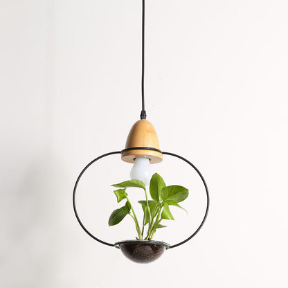 Wooden pendant light with black metal ring base and glass lampshade material glass in modern plant chandelier design