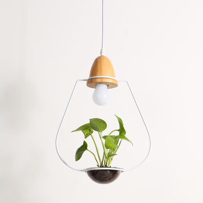Wooden plant chandelier with glass enclosure lampshade and natural wood light body in modern design