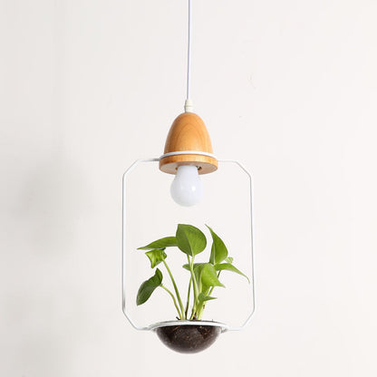 Wooden plant chandelier with light body featuring a glass enclosure lampshade material glass and black pot planter
