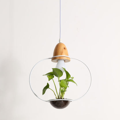 Wooden bulb planter Plant Chandelier with glass dome lampshade material glass and black pot light body design