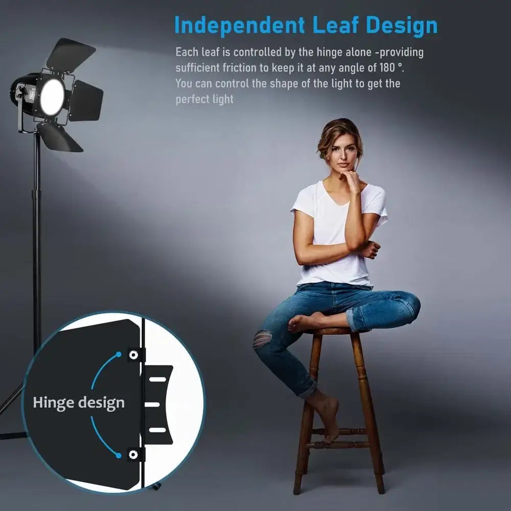Professional black big dipper led par stage spotlight with adjustable leaf design for precise lighting control decorbites big dipper
