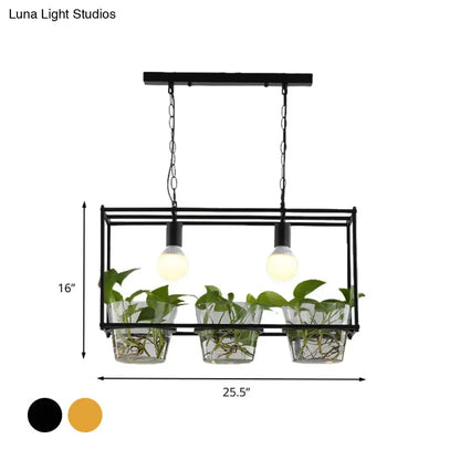 Black metal rectangle island ceiling light with three glass planters holding green vines and two exposed bulbs