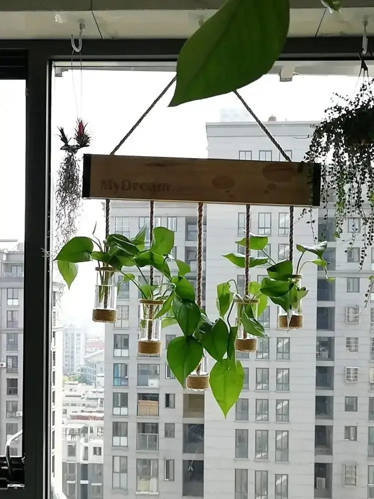 Rustic wooden planter vase with mydream inscription featuring glass planter vase jars suspended by rope for wall decor