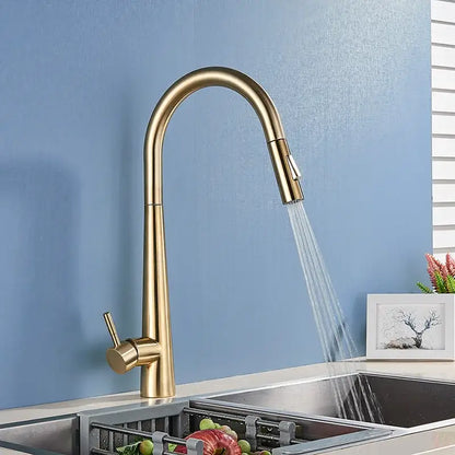 Brass-finished decorbites gold swivel kitchen faucet with sleek curved spout and integrated pull-down sprayer handle