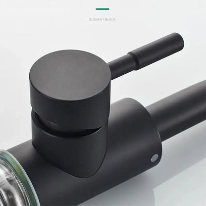 Elegant black matte-finished stainless steel rotating sink faucet from DecorBites for modern bathroom use